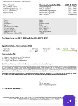 jantrace, 46 Jahre alt, Würzburg, Deutschland
